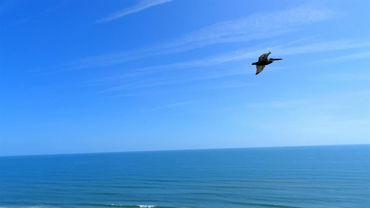 Penthouse Floor 1 Bedroom Resort Condo Direct Oceanfront Wyndham Ocean Walk - Daytona Funland 1908 Daytona Beach Zewnętrze zdjęcie